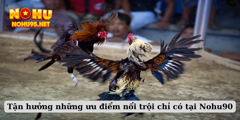 Tận hưởng những ưu điểm nổi trội chỉ có tại Nohu90