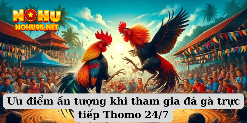 Ưu điểm ấn tượng khi tham gia đá gà trực tiếp Thomo 24/7