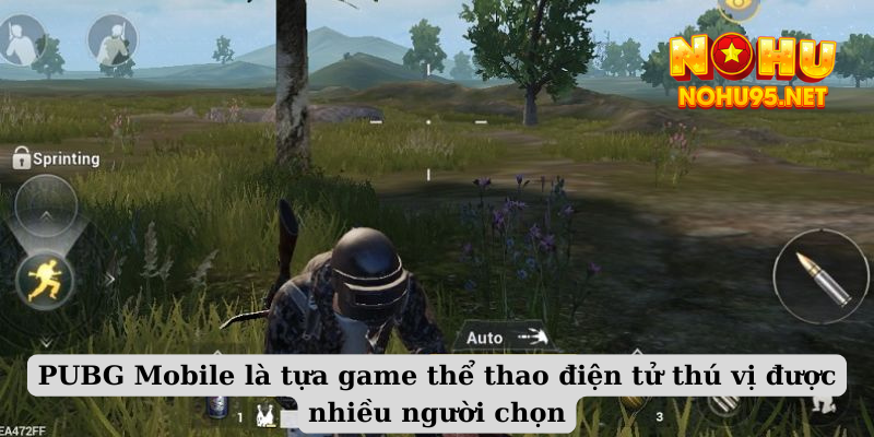 PUBG Mobile là tựa game thể thao điện tử thú vị được nhiều người chọn