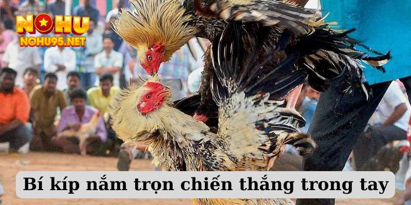 Bí kíp nắm trọn chiến thắng trong tay