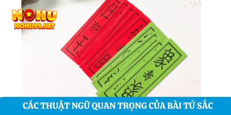 Các thuật ngữ quan trọng của bài Tứ Sắc