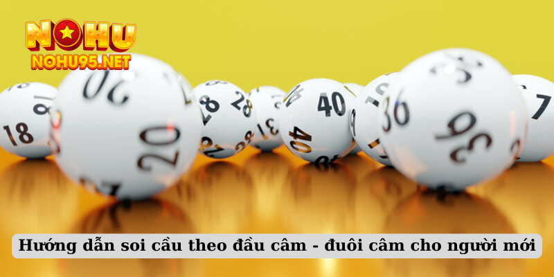 Hướng dẫn soi cầu theo đầu câm - đuôi câm cho người mới