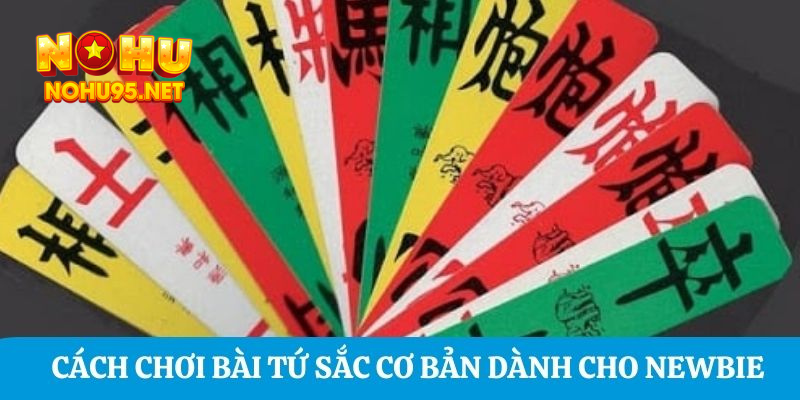 Cách chơi bài Tứ Sắc cơ bản dành cho newbie